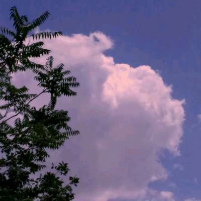 购彩中心welcome官网下载手机版